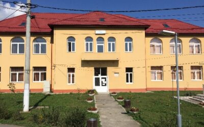 Proiecte în derulare